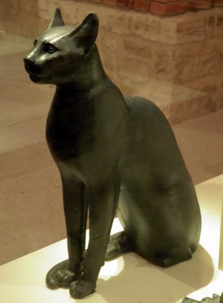 cats-revered-egypt