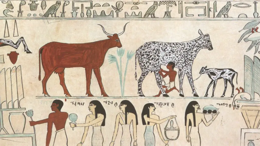 egyptian-animals