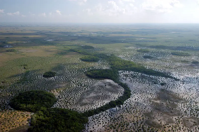  Everglades in Florida